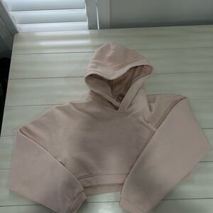 Cropped  thicker fleece pullover from Aritzia size M